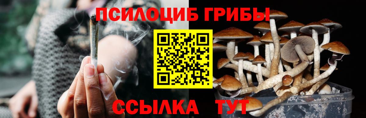 Псилоцибиновые грибы GOLDEN TEACHER  где купить наркоту  Маркс  Псилоцибиновые грибы Psilocybe  Вход с VPN 